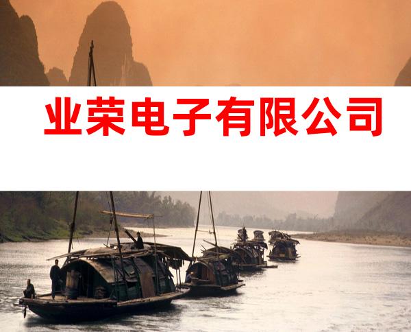 业荣电子有限公司