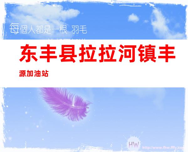 东丰县拉拉河镇丰源加油站