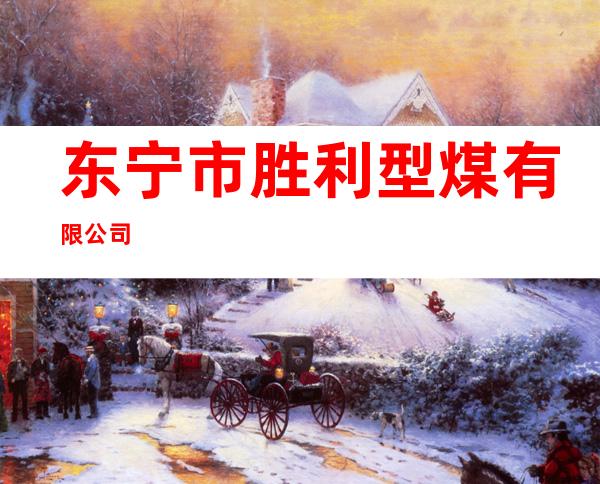 东宁市胜利型煤有限公司