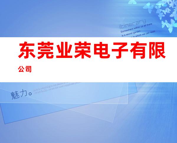 东莞业荣电子有限公司