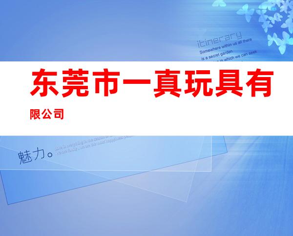 东莞市一真玩具有限公司