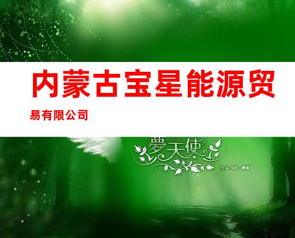 内蒙古宝星能源贸易有限公司