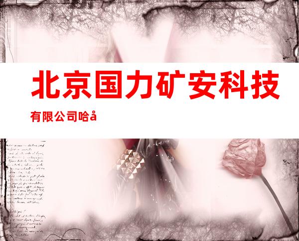 北京国力矿安科技有限公司哈尔滨分公司