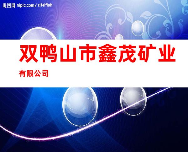 双鸭山市鑫茂矿业有限公司