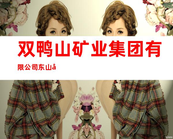 双鸭山矿业集团有限公司东山国际酒店