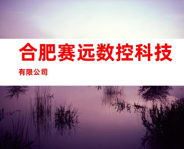 合肥赛远数控科技有限公司