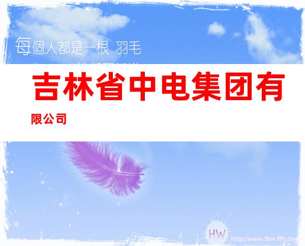 吉林省中电集团有限公司