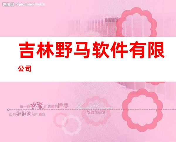 吉林野马软件有限公司