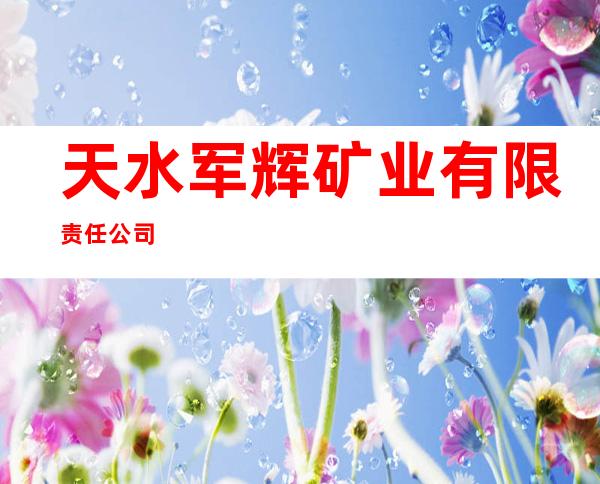 天水军辉矿业有限责任公司