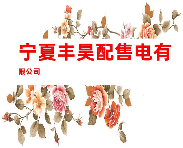 宁夏丰昊配售电有限公司