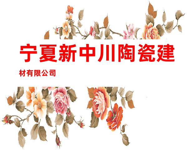 宁夏新中川陶瓷建材有限公司
