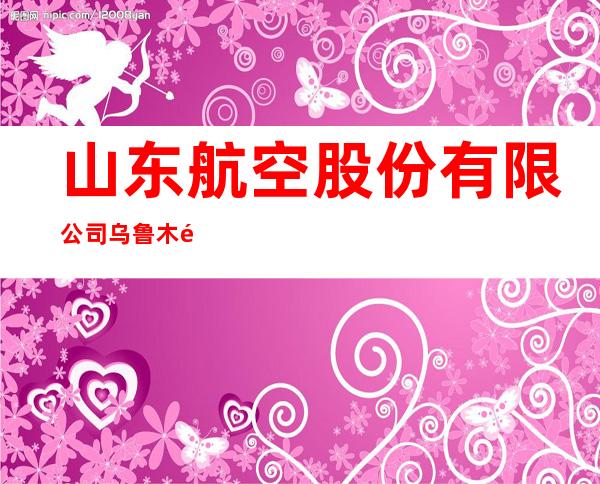 山东航空股份有限公司乌鲁木齐营业部