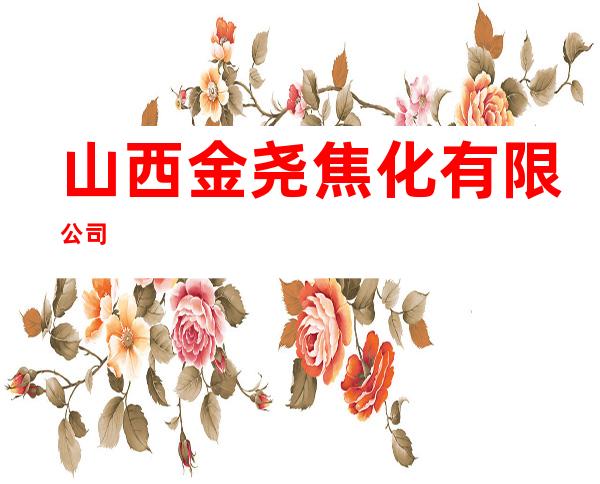 山西金尧焦化有限公司