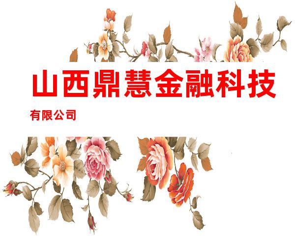 山西鼎慧金融科技有限公司