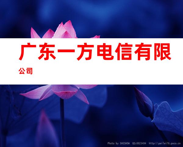 广东一方电信有限公司