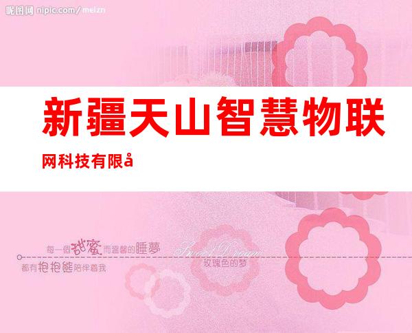 新疆天山智慧物联网科技有限公司