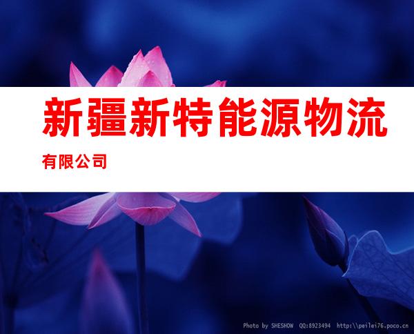 新疆新特能源物流有限公司