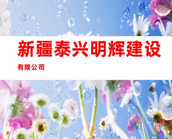 新疆泰兴明辉建设有限公司
