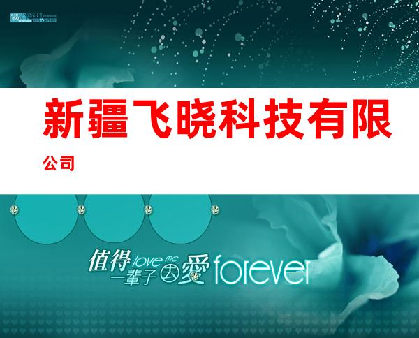新疆飞晓科技有限公司
