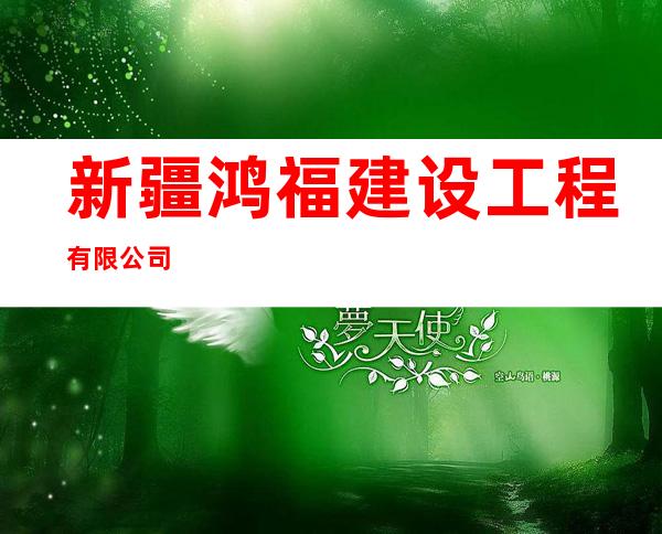 新疆鸿福建设工程有限公司