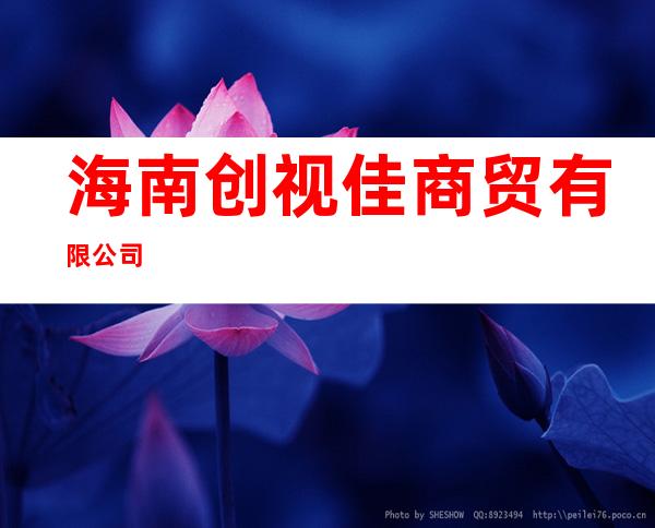 海南创视佳商贸有限公司
