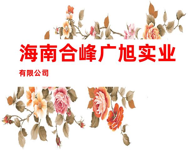 海南合峰广旭实业有限公司