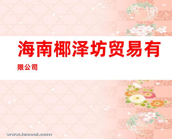 海南椰泽坊贸易有限公司