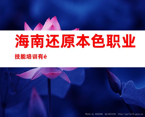 海南还原本色职业技能培训有限公司