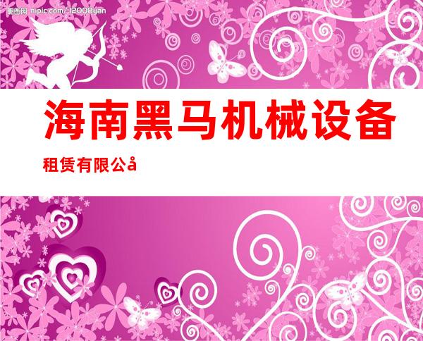 海南黑马机械设备租赁有限公司