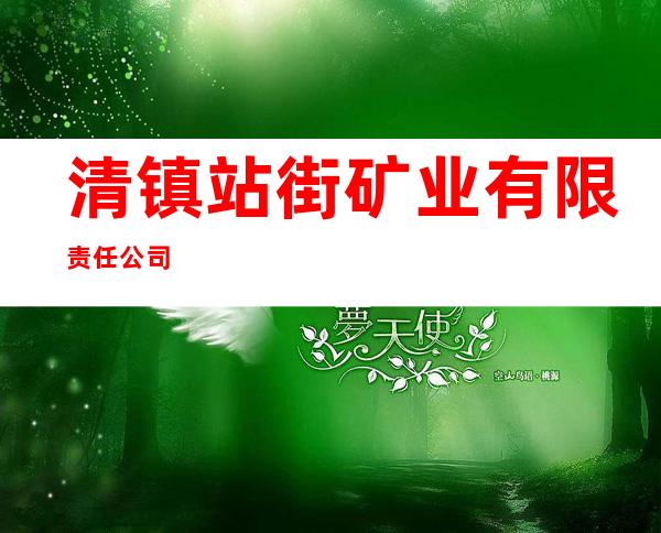 清镇站街矿业有限责任公司