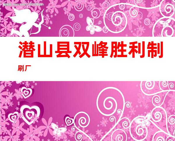 潜山县双峰胜利制刷厂