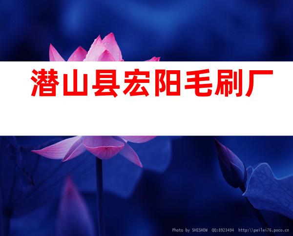 潜山县宏阳毛刷厂
