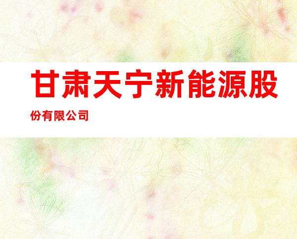甘肃天宁新能源股份有限公司