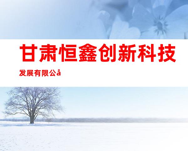 甘肃恒鑫创新科技发展有限公司