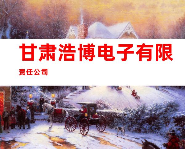 甘肃浩博电子有限责任公司