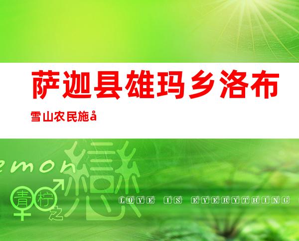 萨迦县雄玛乡洛布雪山农民施工队