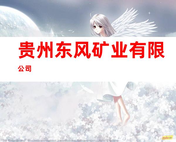 贵州东风矿业有限公司