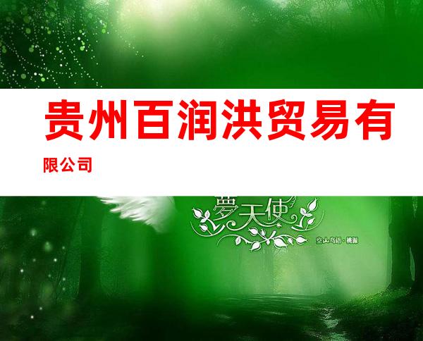 贵州百润洪贸易有限公司