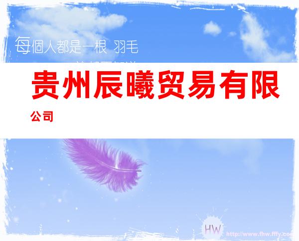 贵州辰曦贸易有限公司