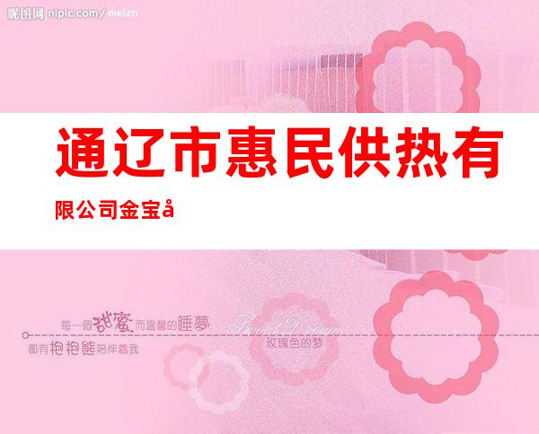 通辽市惠民供热有限公司金宝屯分公司