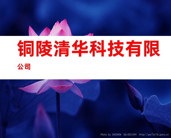 铜陵清华科技有限公司