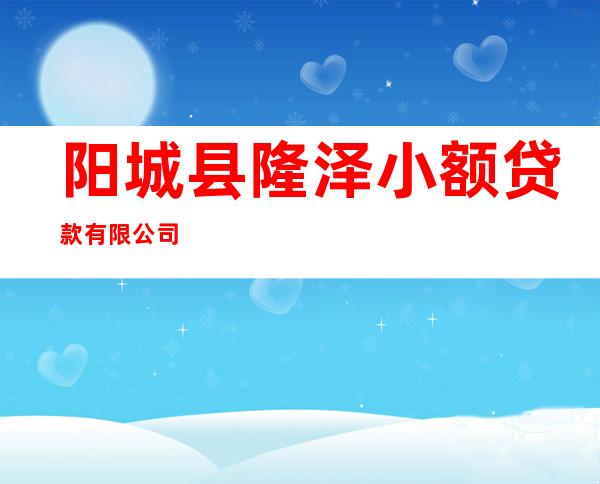 阳城县隆泽小额贷款有限公司