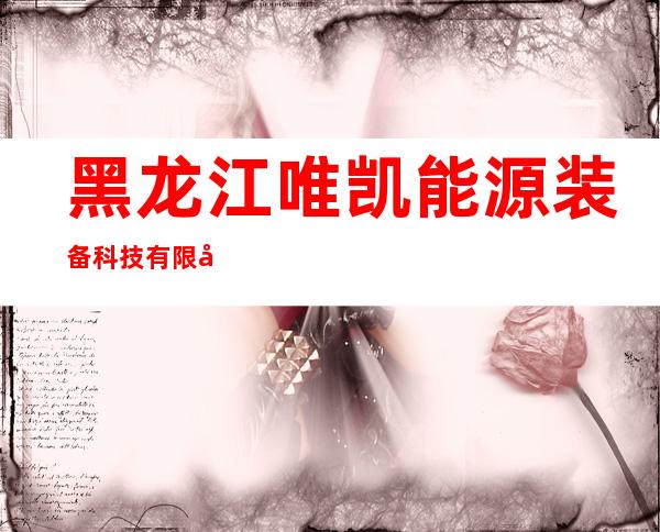 黑龙江唯凯能源装备科技有限公司
