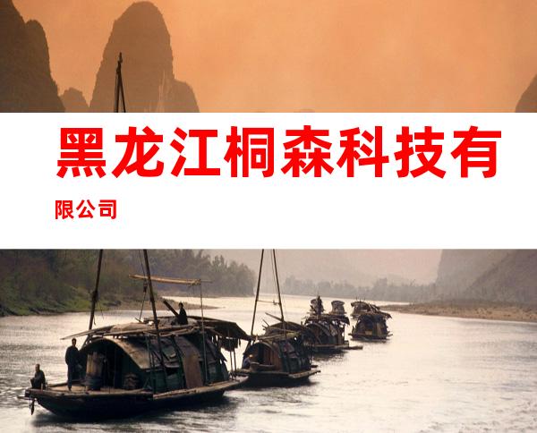 黑龙江桐森科技有限公司