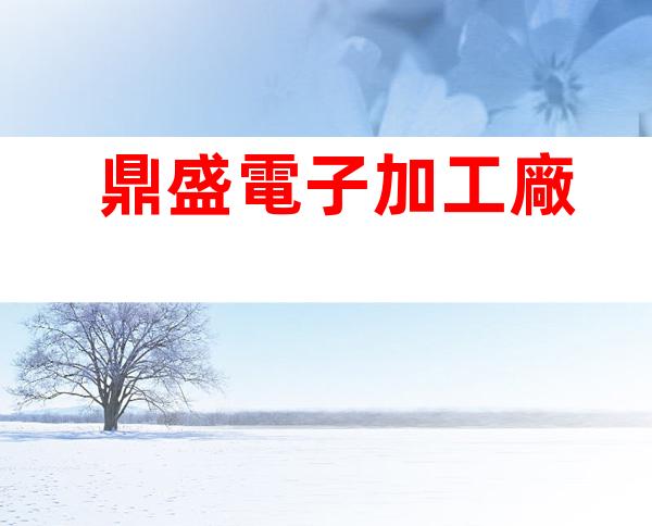 鼎盛電子加工廠